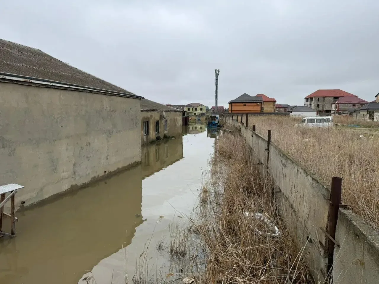 Пальмира, Турали и Новый Кяхулай снова онлайн